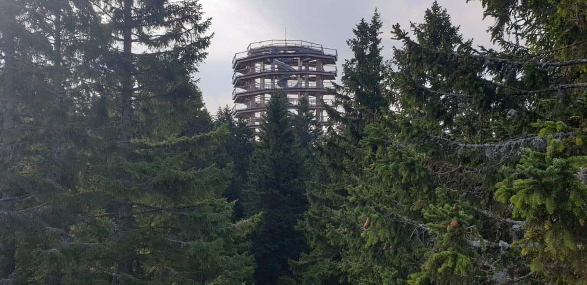 yep.. I'm gonna slide down there from the top of that big car park in the forest on a flimsy mat! yep.. I'm gonna slide down there from the top of that big car park in the forest on a flimsy mat!
