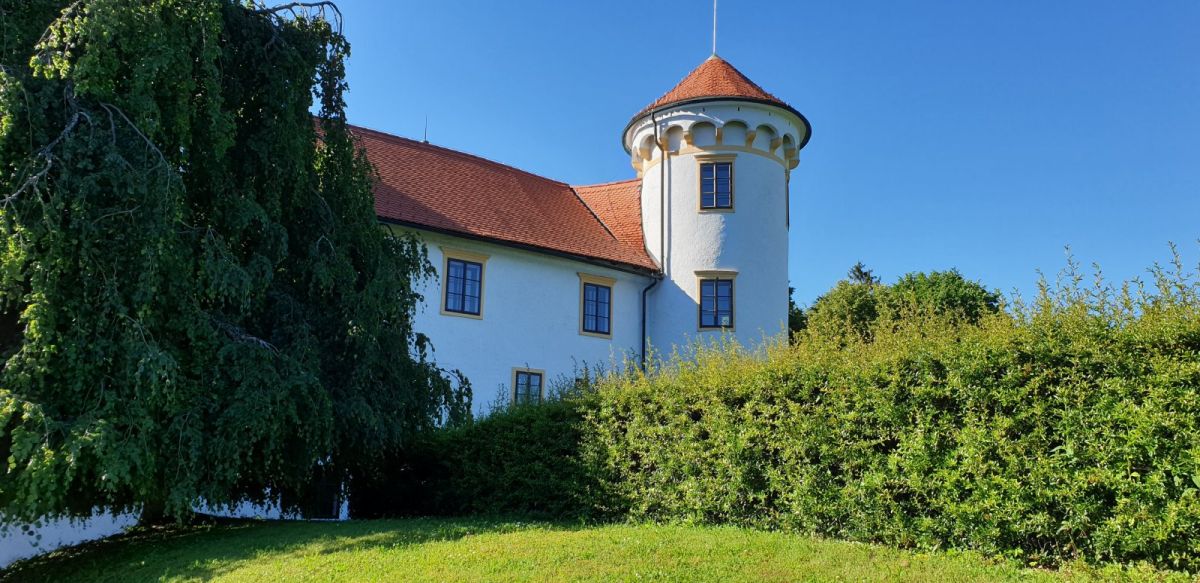 in the grounds of the castle..