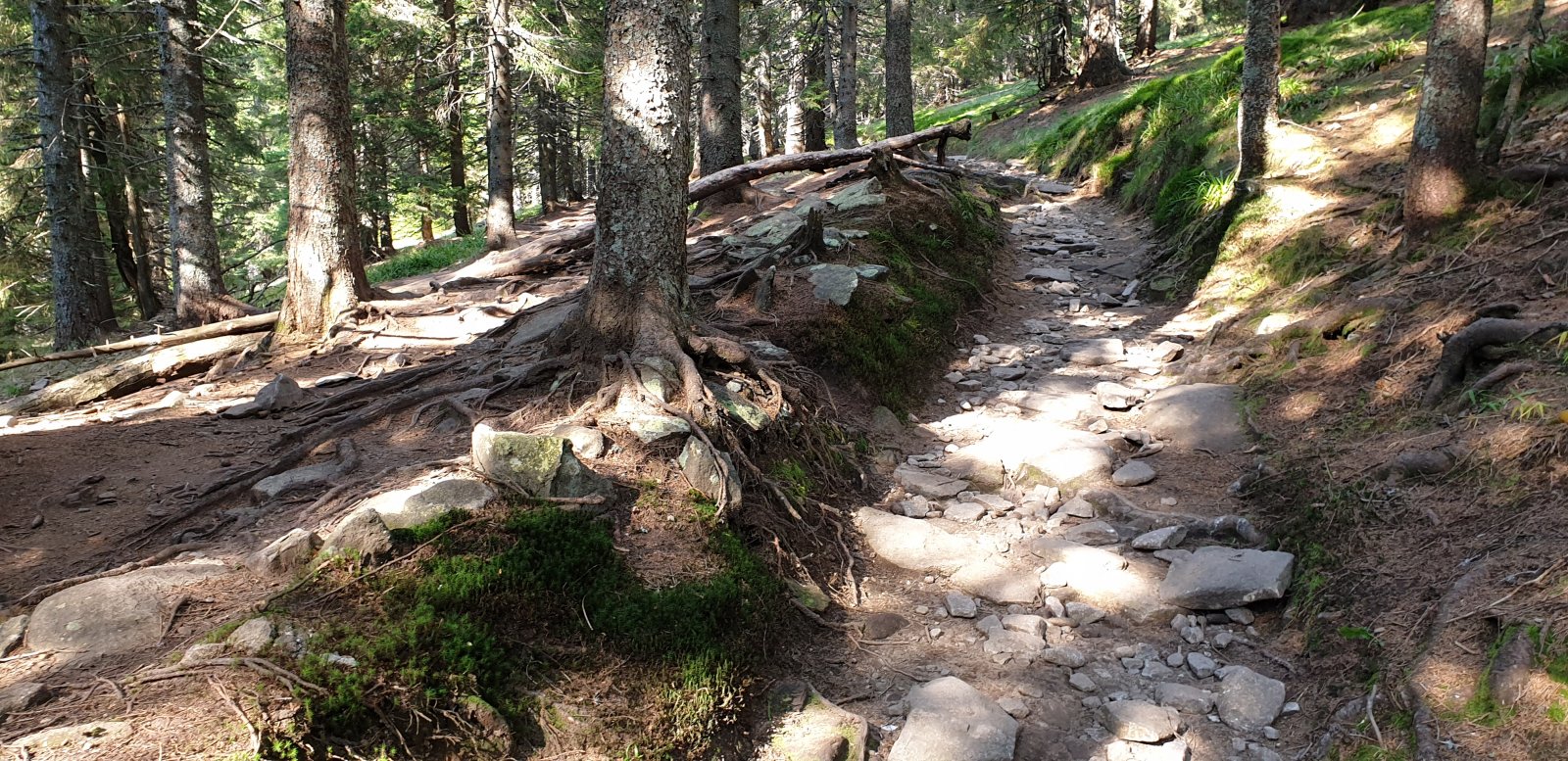 like walking along a dry river..