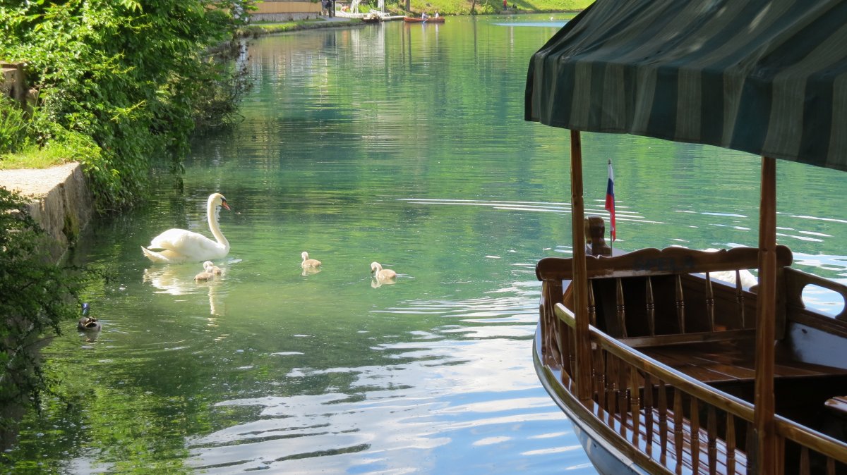 there is a lot to enjoy at lake Bled..