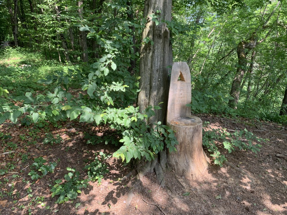 you never know what you might find in the Slovenian forest..