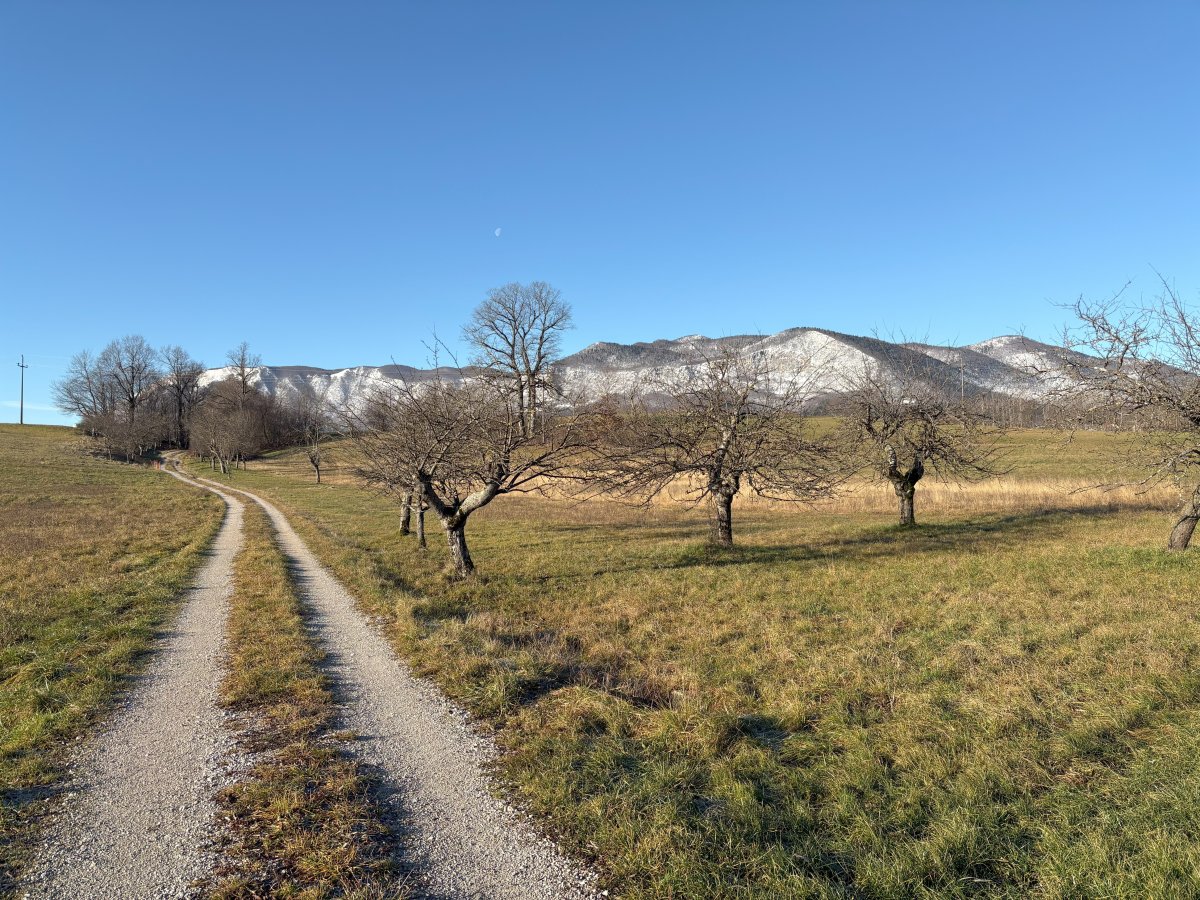 Winter walk along the old Roman road from Landol towards Nanos mountain.. Winter walk along the old Roman road from Landol towards Nanos mountain..