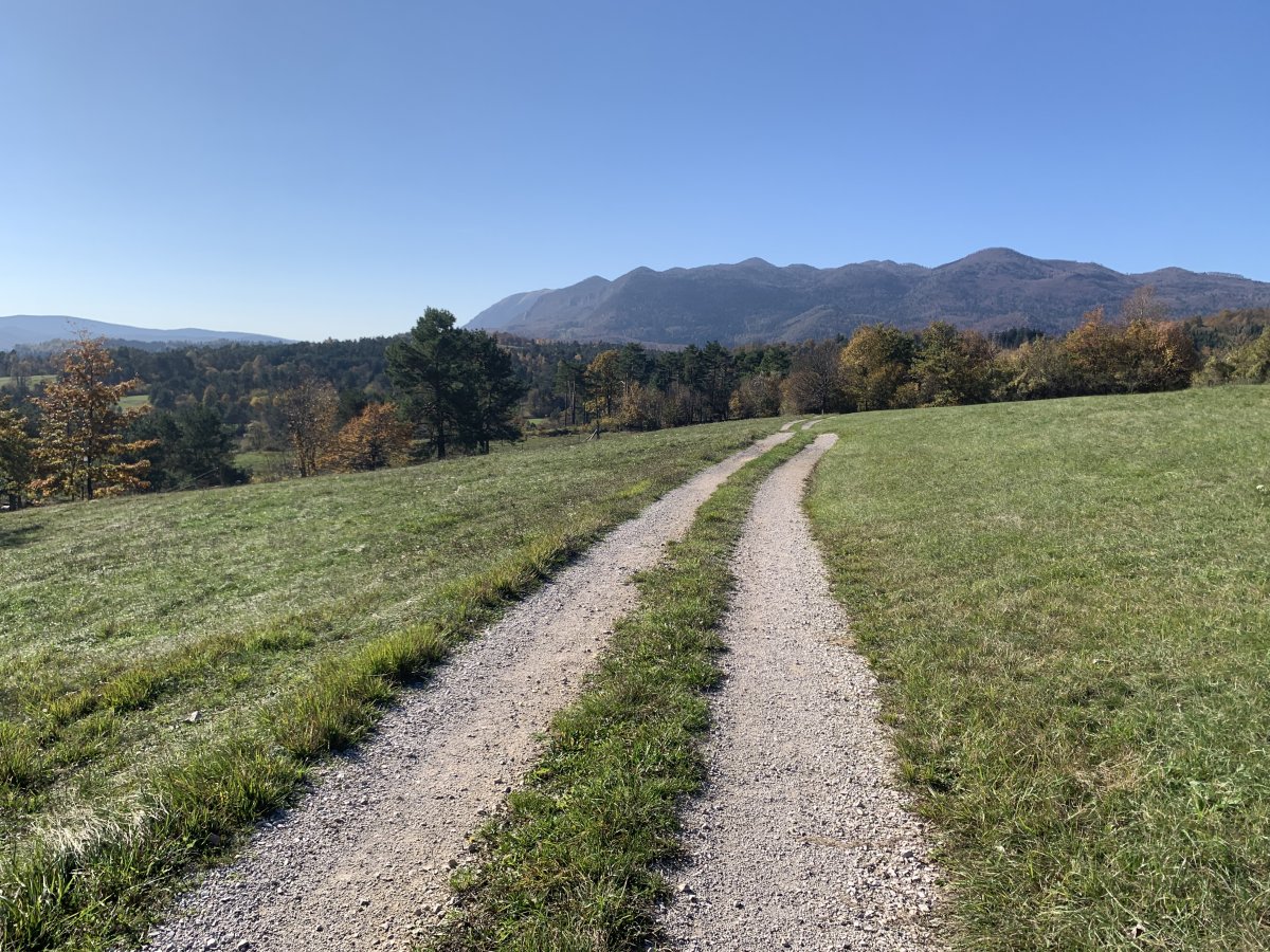 There are numerous tracks over meadows, forest and Dinaric moutains around here.. There are numerous tracks over meadows, forest and Dinaric moutains around here..