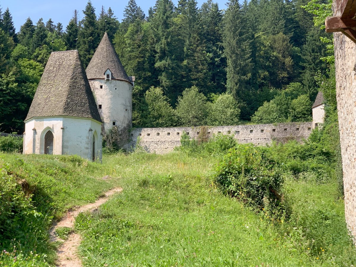 How stone, slate and forest look so beautiful together.. another reason why we call it all Green Slovenia.. How stone, slate and forest look so beautiful together.. another reason why we call it all Green Slovenia..