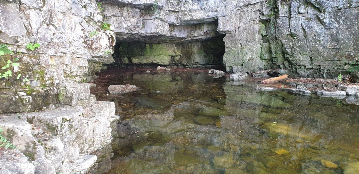 one of the many beautiful sink hole caves to discover at the Cerknica disappearing lake.. one of the many beautiful sink hole caves to discover at the Cerknica disappearing lake..