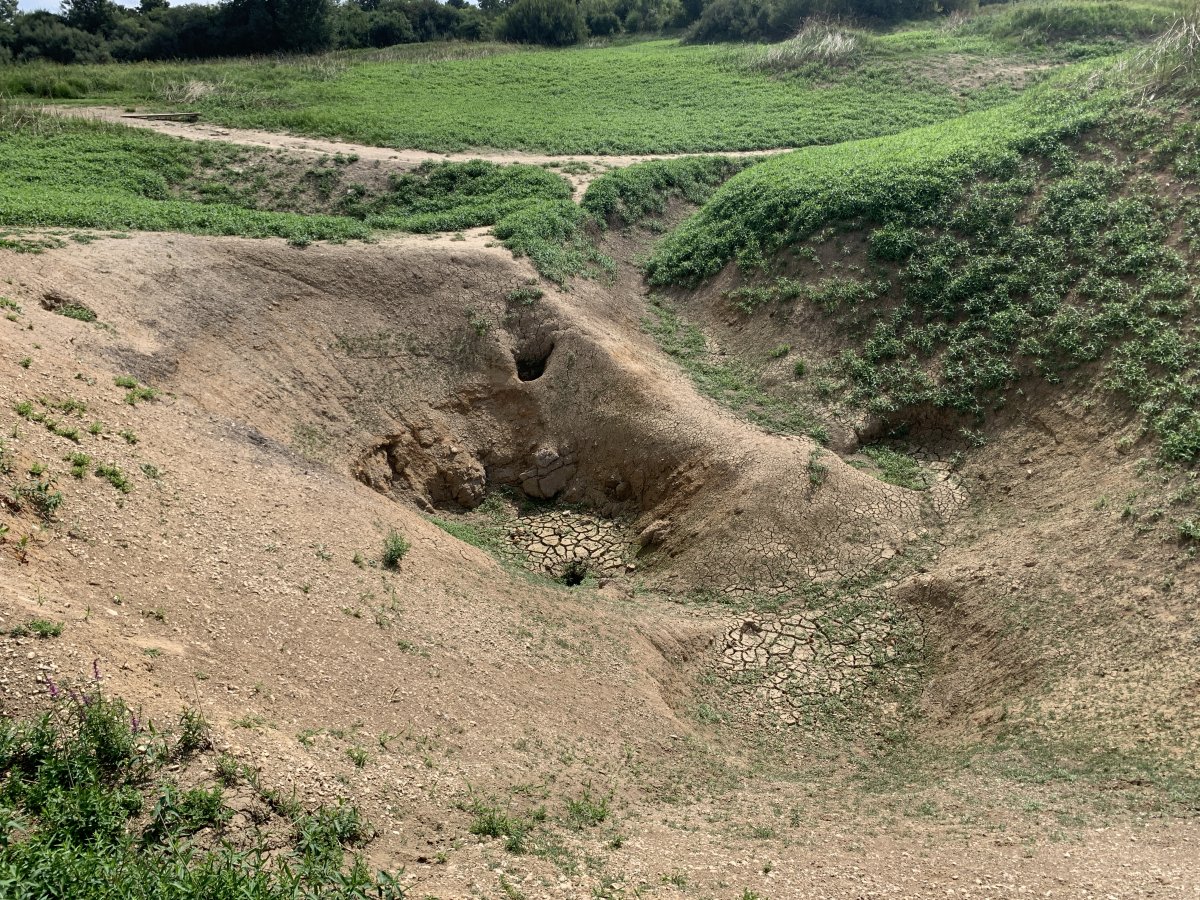 Some of the enormous sink holes that help to fill the biggest Cerknica Disappearing Lake.. Some of the enormous sink holes that help to fill the biggest Cerknica Disappearing Lake..