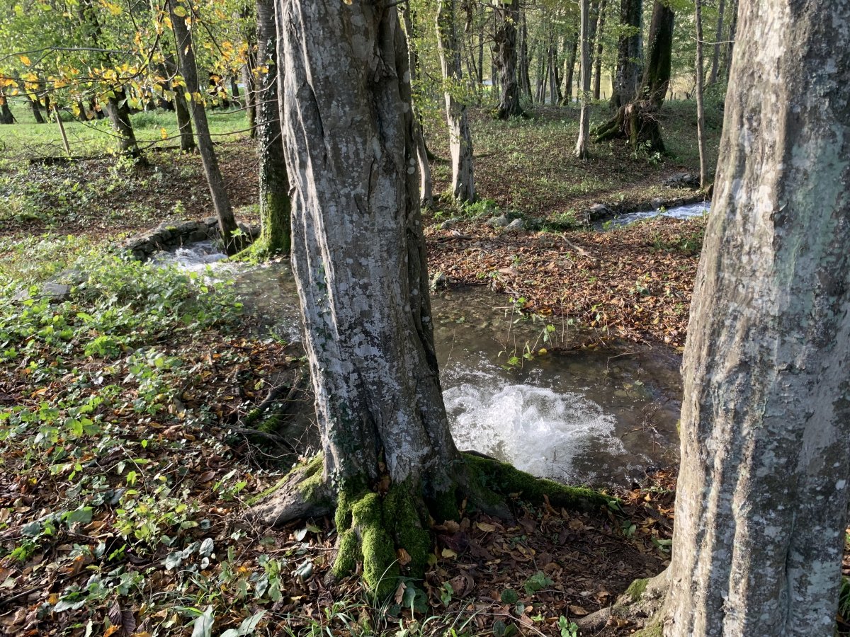 This water gushes into the River of 7 Names and will flow through central Ljubljana in about three to five days time.. This water gushes into the River of 7 Names and will flow through central Ljubljana in about three to five days time..