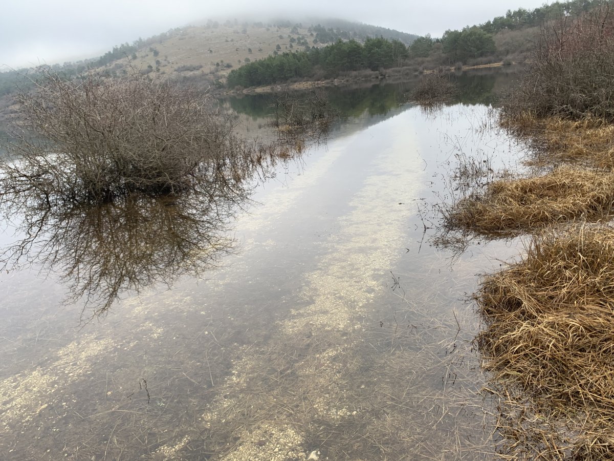 Another track disappears under the water until the lake empties again.. Another track disappears under the water until the lake empties again..