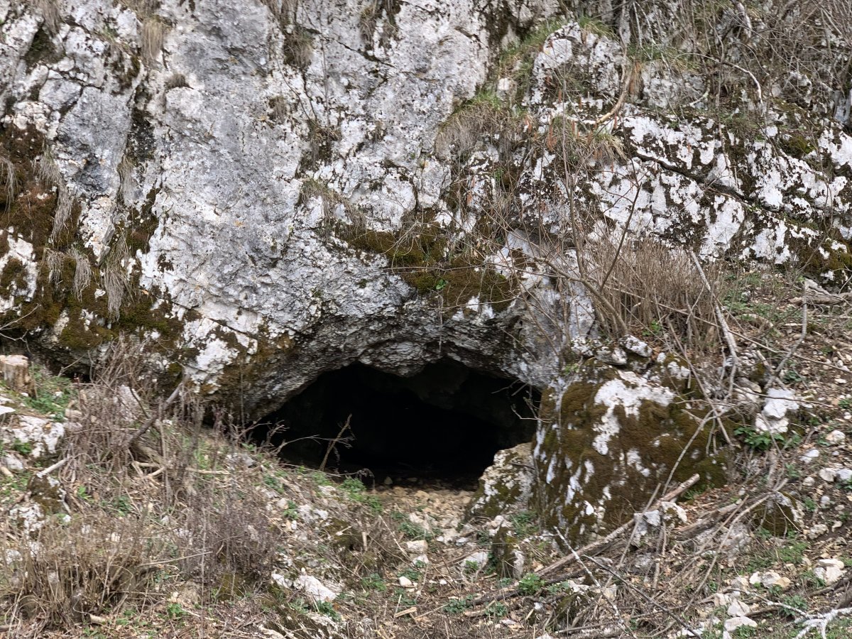 This little cave fills the Little Drskovsko Disappearing Lake, one of the 17 Pivka Lakes.. This little cave fills the Little Drskovsko Disappearing Lake, one of the 17 Pivka Lakes..