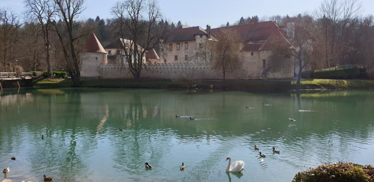 check this out.. a castle on an island in the middle of a bottle green river in Slovenia!