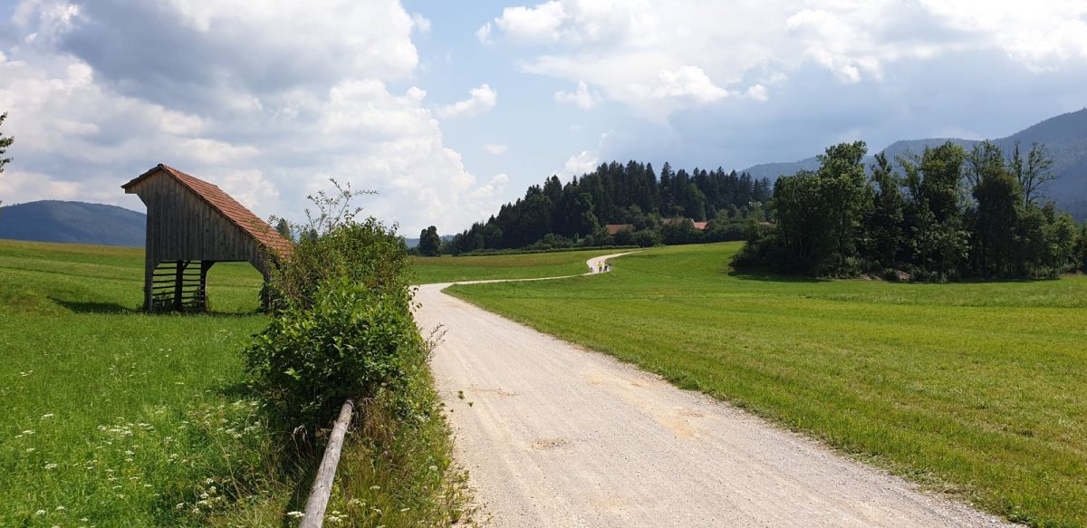 the approach to Otok island in the Cerknica disappearing lake..
