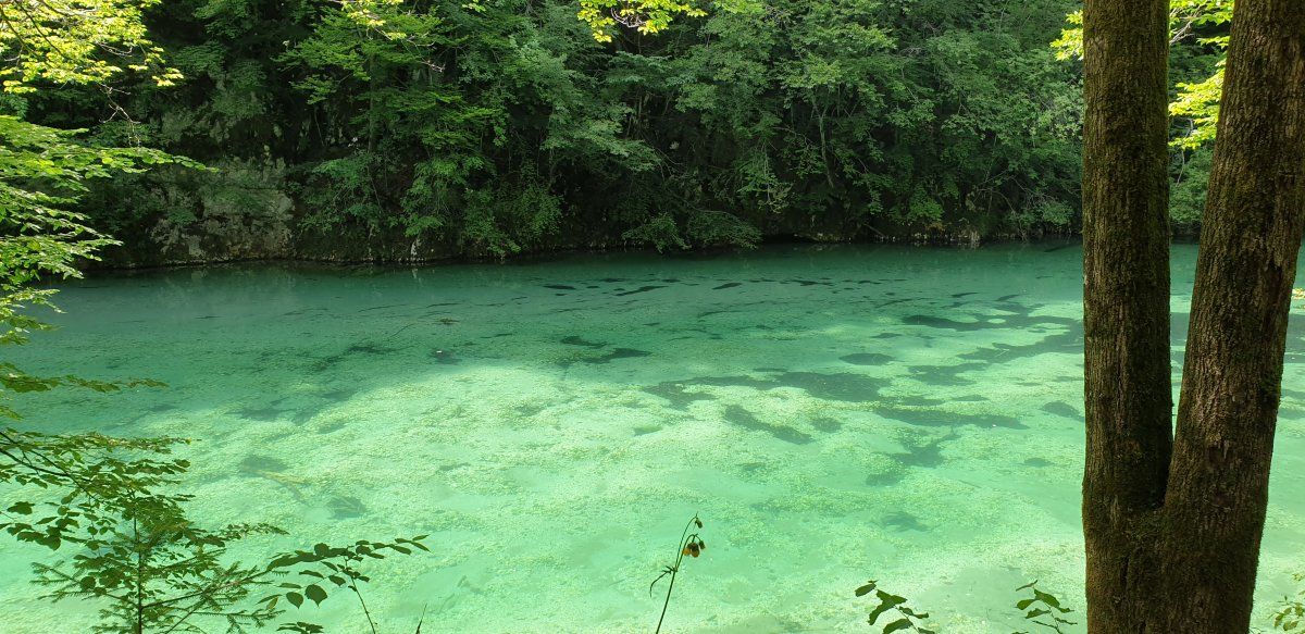 Do you see why we just call it all Green Slovenia! Do you see why we just call it all Green Slovenia!