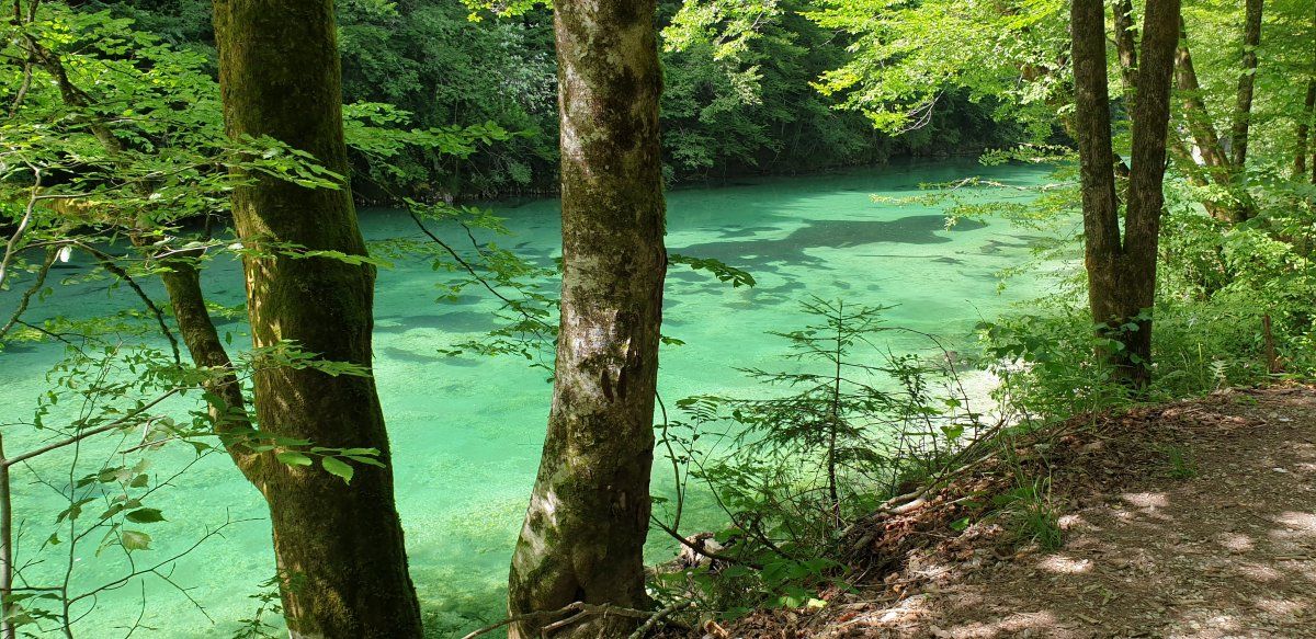 ladies and gentlemen, boys and girls.. the Bela Idrija river.. ladies and gentlemen, boys and girls.. the Bela Idrija river..