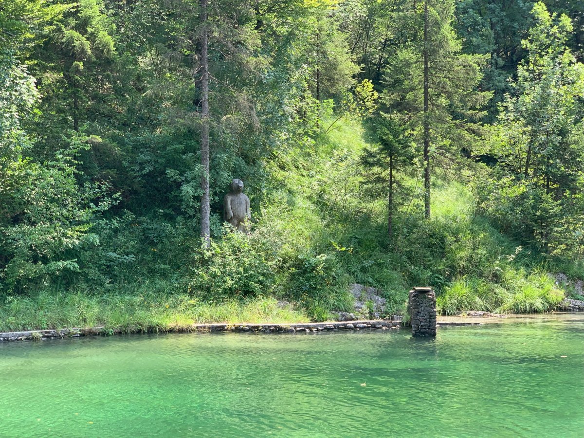 One kinda Bear watching in Green Slovenia.. You can jump off that board opposite.. One kinda Bear watching in Green Slovenia.. You can jump off that board opposite..
