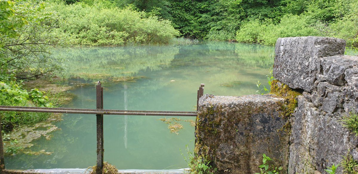 this is where yet another secret Slovenian river springs into life at the IZVIR.. this is where yet another secret Slovenian river springs into life at the IZVIR..