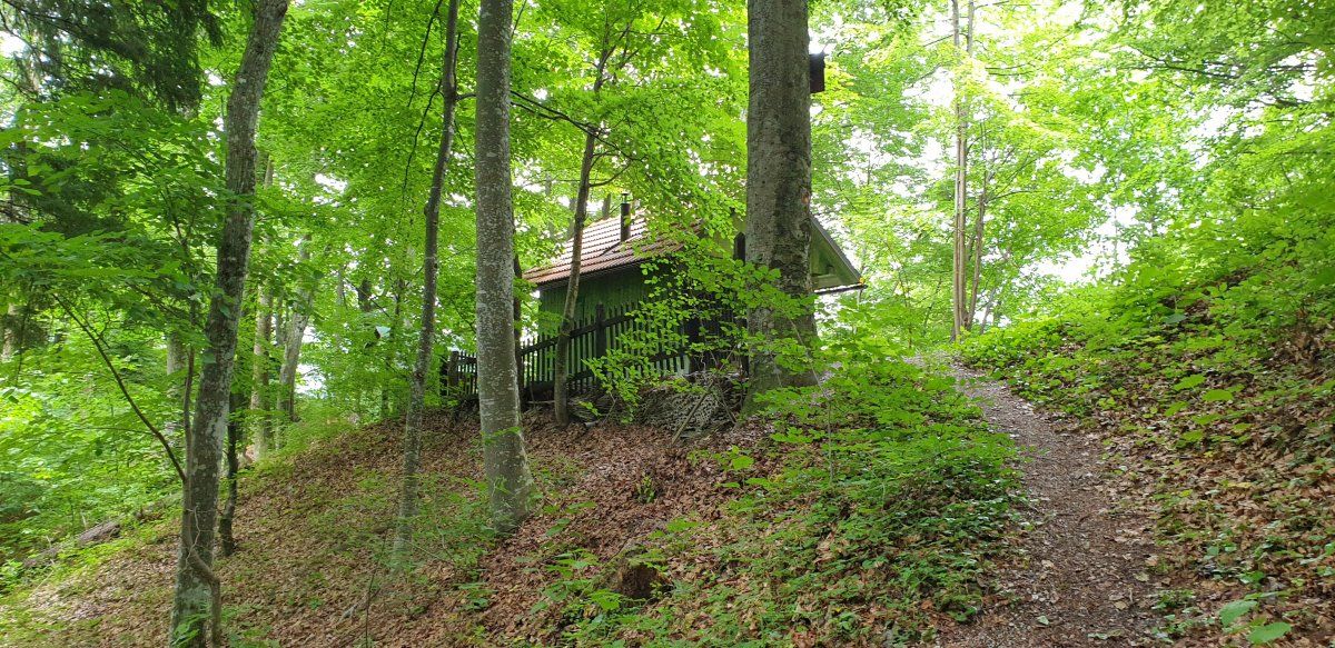 the back entrance route to the Partisan's secret hut..