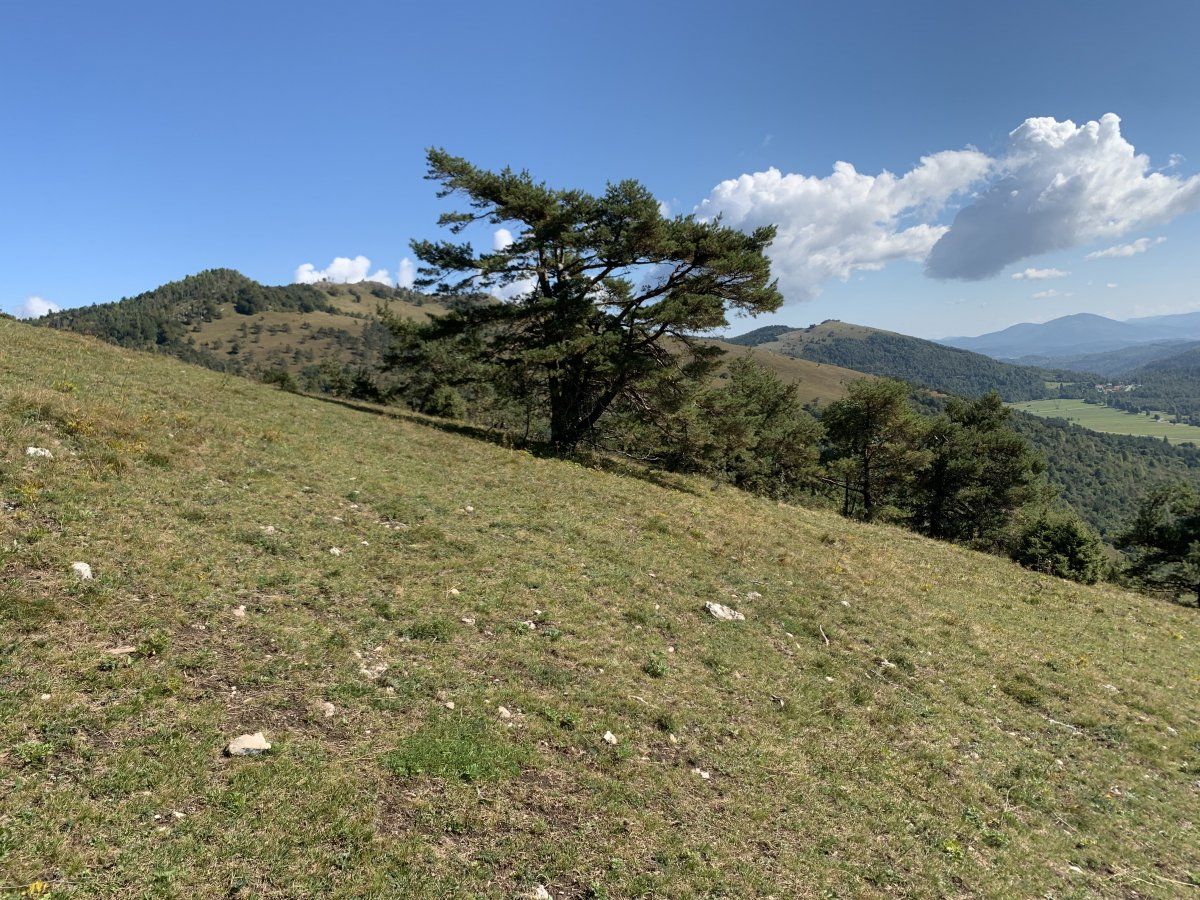 the camera is not wonky, the mountain is just very steep with great views over to Planina.. the camera is not wonky, the mountain is just very steep with great views over to Planina..