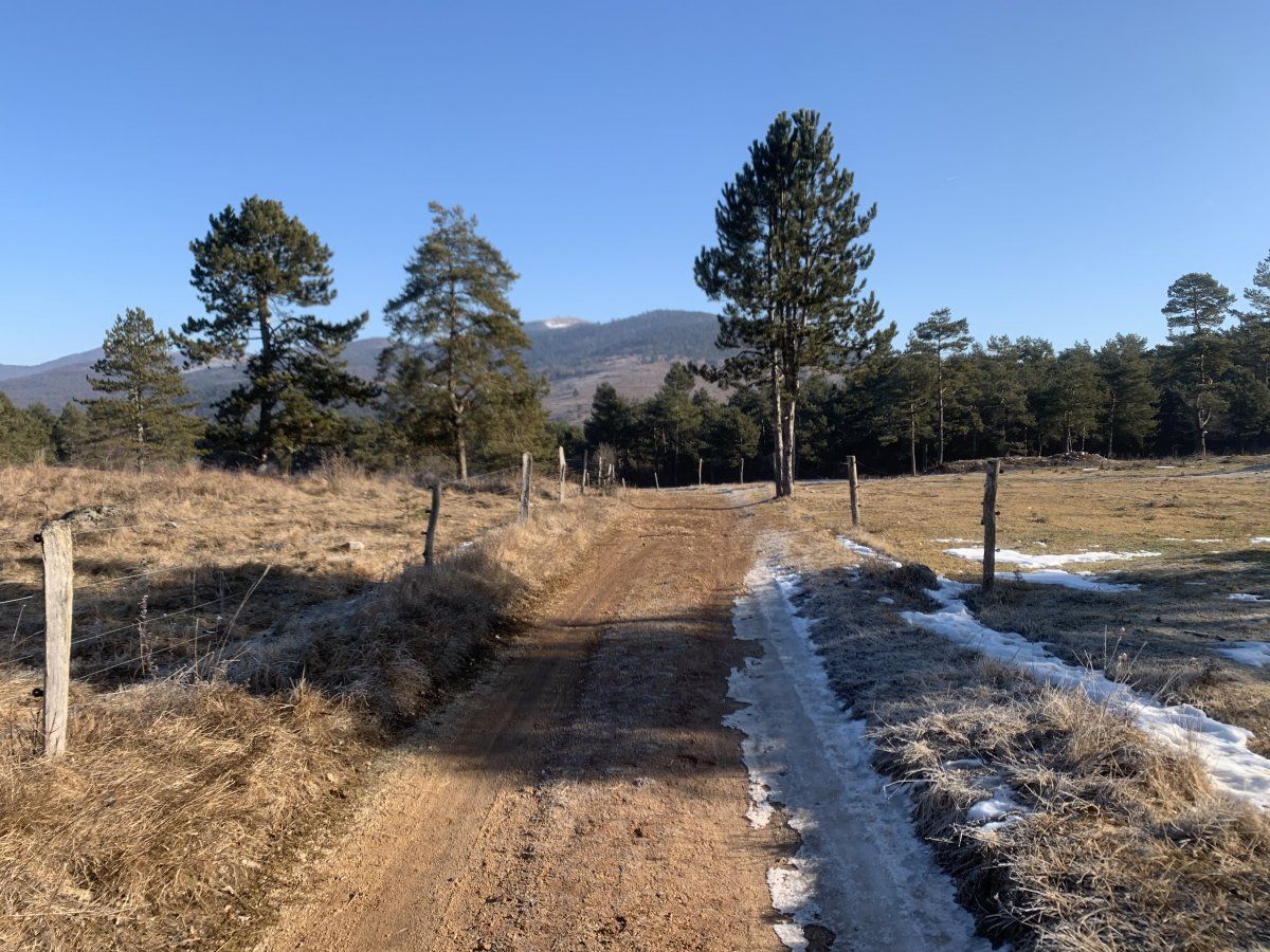 on the track that soon leads down to the Peteljinkso disappearing lake..