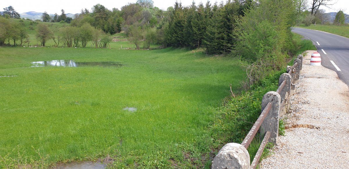 the tiny Kljunov Ribek disappearing lake is appearing here, right next to the road!