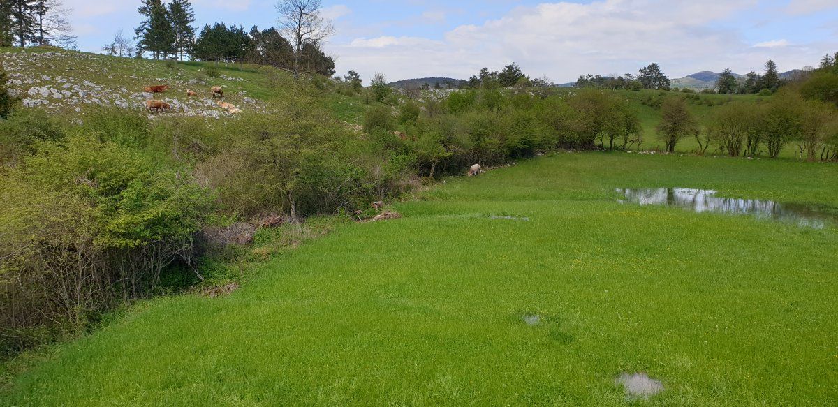 the 17 Disappearing Lakes of Pivka