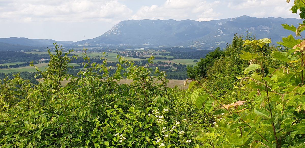 what are the Dinaric Alps?