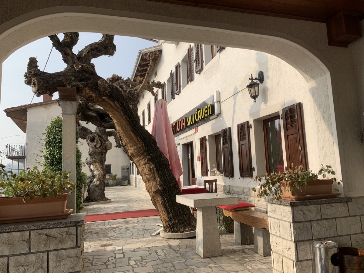 fantastic local Vipava valley food served here at Crni Caven, we sat outside in Feb, no probs.. fantastic local Vipava valley food served here at Crni Caven, we sat outside in Feb, no probs..