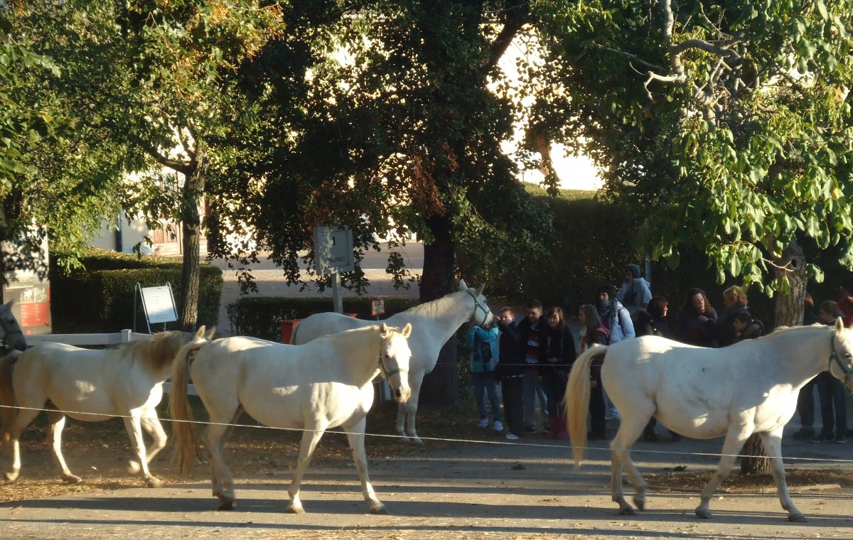 the procession home..