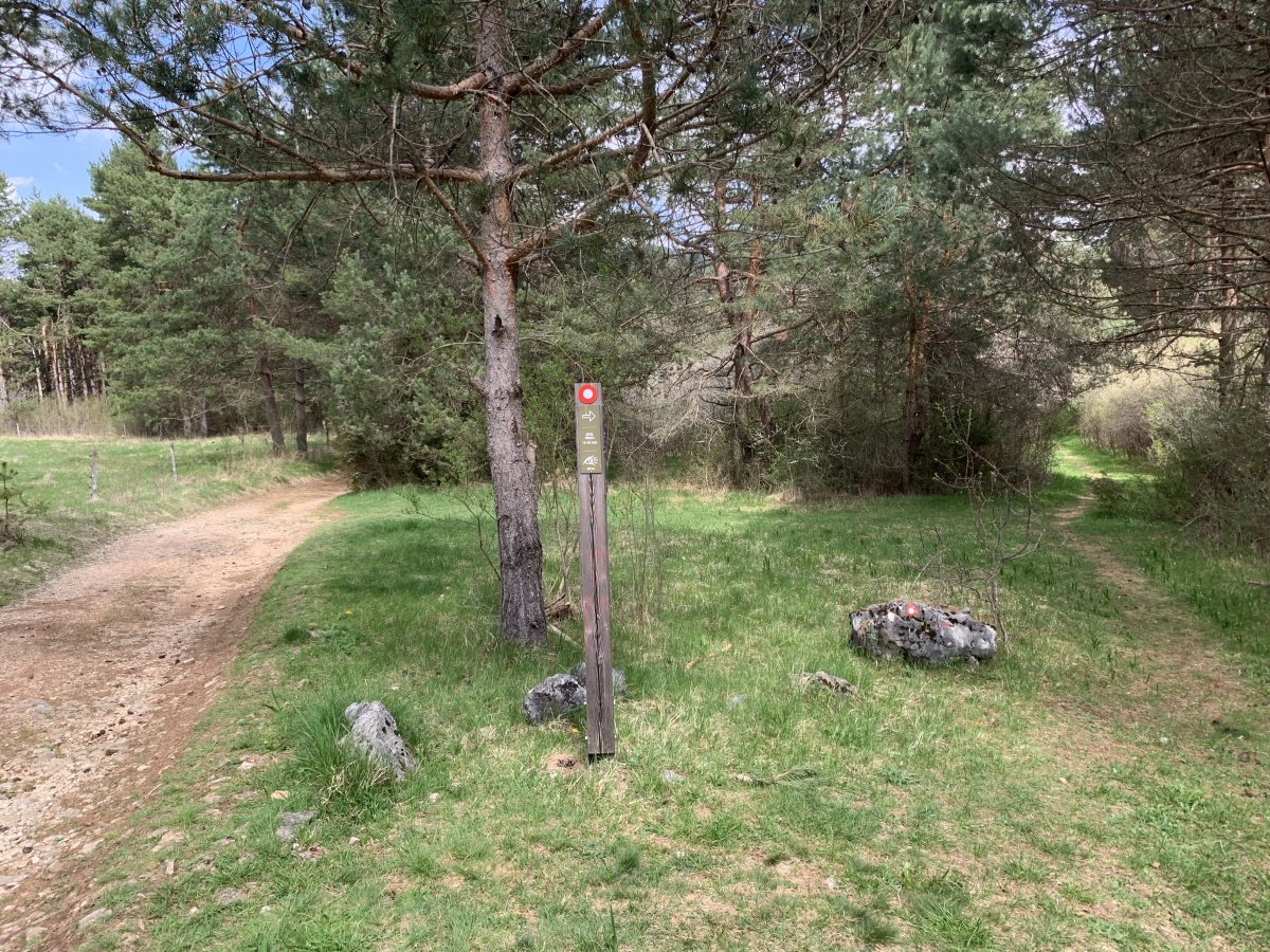 left down to the lake and right is a fantastic forest path around the side of the lake, with some viewpoints.. left down to the lake and right is a fantastic forest path around the side of the lake, with some viewpoints..