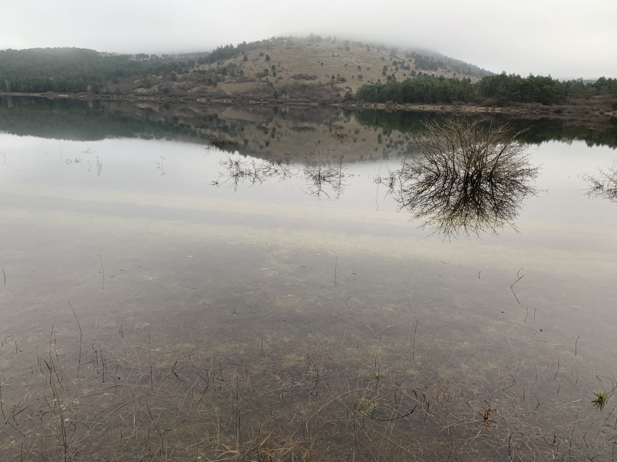 Petelinje Disappearing Lake