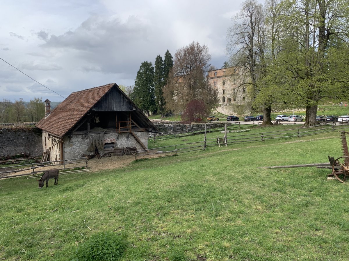 the castle barn with Haasberg castle in the background.. the castle barn with Haasberg castle in the background..