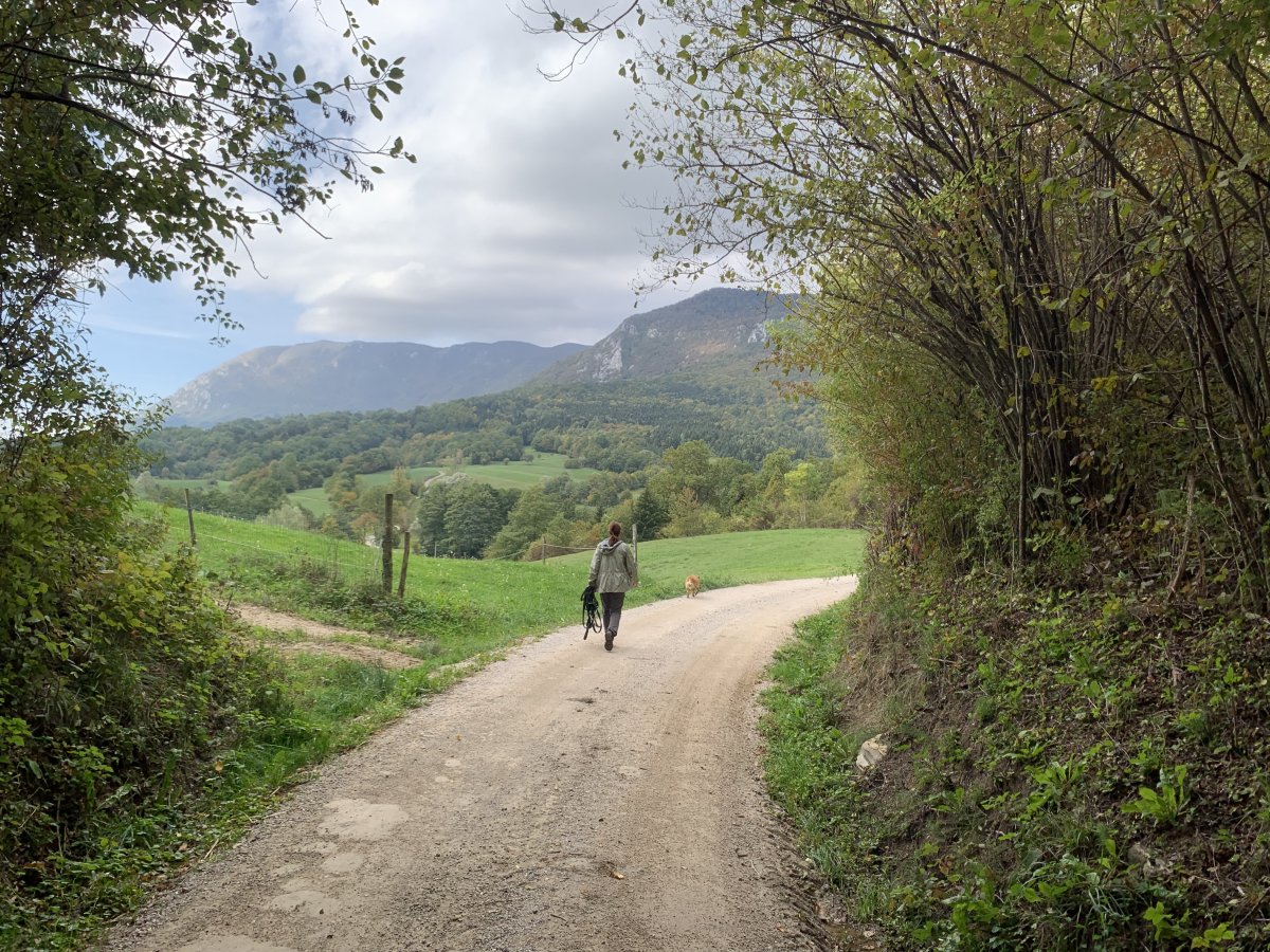 St James Pilgrim Path