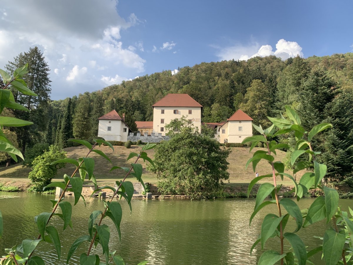 what a shock to find such a perfectly restored castle we had never heard of..