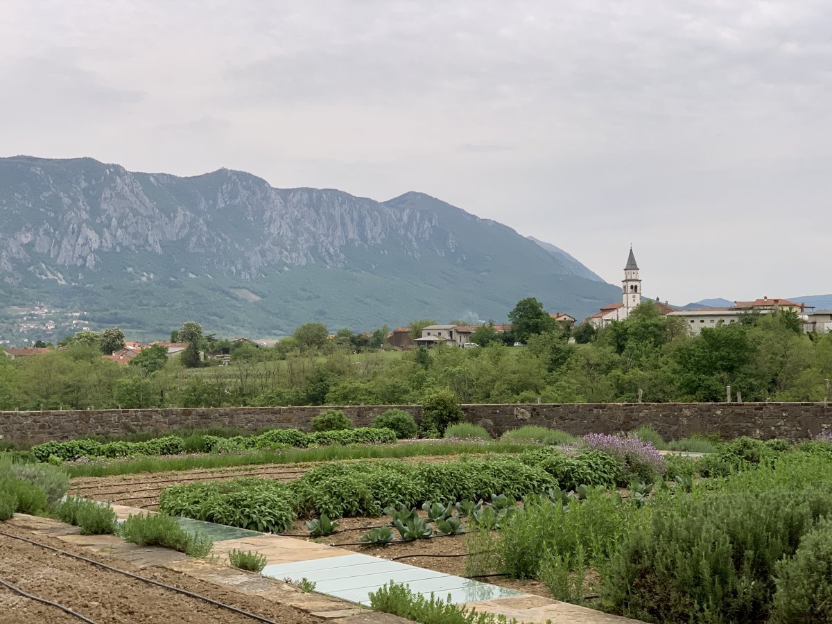 Garden and vineyards at Majerija.. the Lodge is just the other side of Nanos mountain.. Garden and vineyards at Majerija.. the Lodge is just the other side of Nanos mountain..
