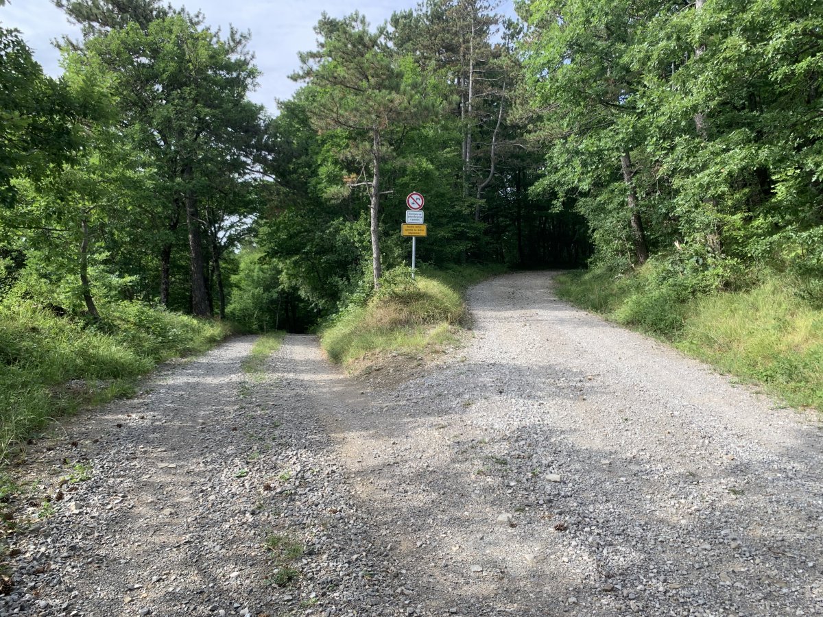 our route goes UP to meet Mt Nanos.. or you can go DOWN here to the Vipava Valley..