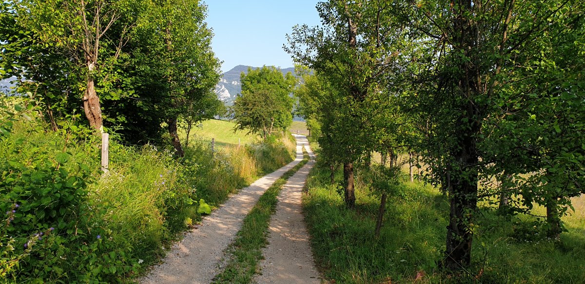 we could not ask for better biking tracks around here.. we could not ask for better biking tracks around here..