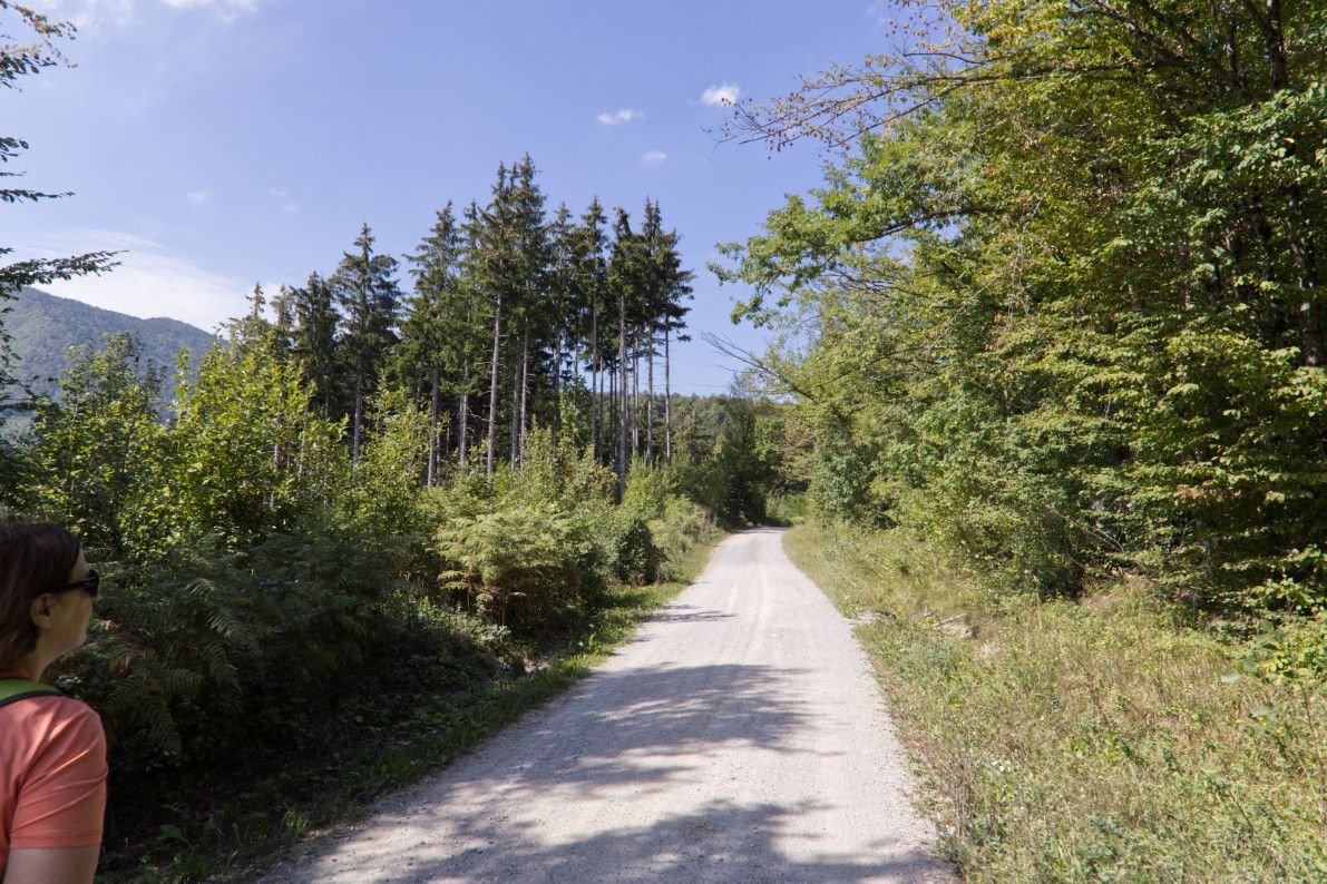 take navigation, but you are walking here in Green paradise.. take navigation, but you are walking here in Green paradise..