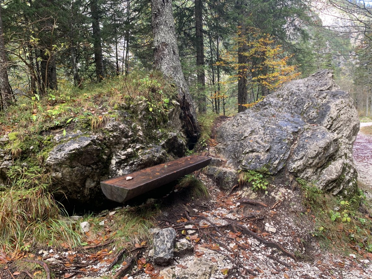 just beautiful when benches are merged with nature.. just beautiful when benches are merged with nature..
