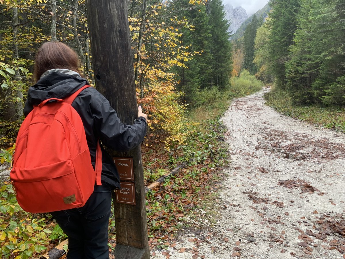 these peak posts are just so handy AND merge with nature.. these peak posts are just so handy AND merge with nature..