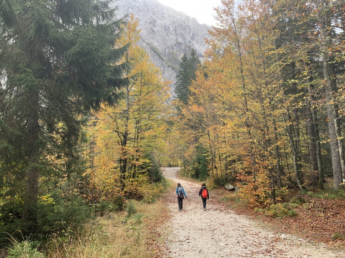 Autumn Hike