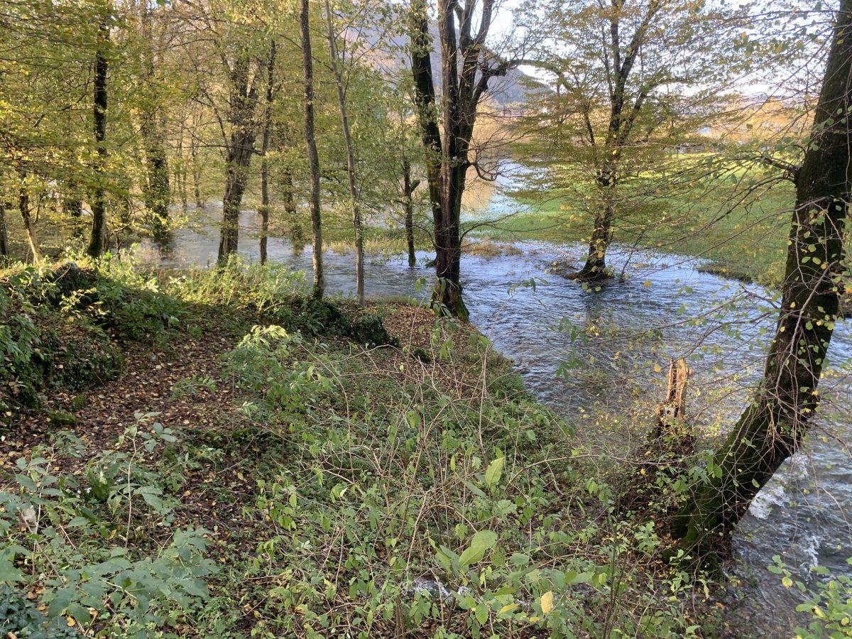 This is not even the main river Unica, but a series of overflowing tributaries sliding down from the forest.. This is not even the main river Unica, but a series of overflowing tributaries sliding down from the forest..