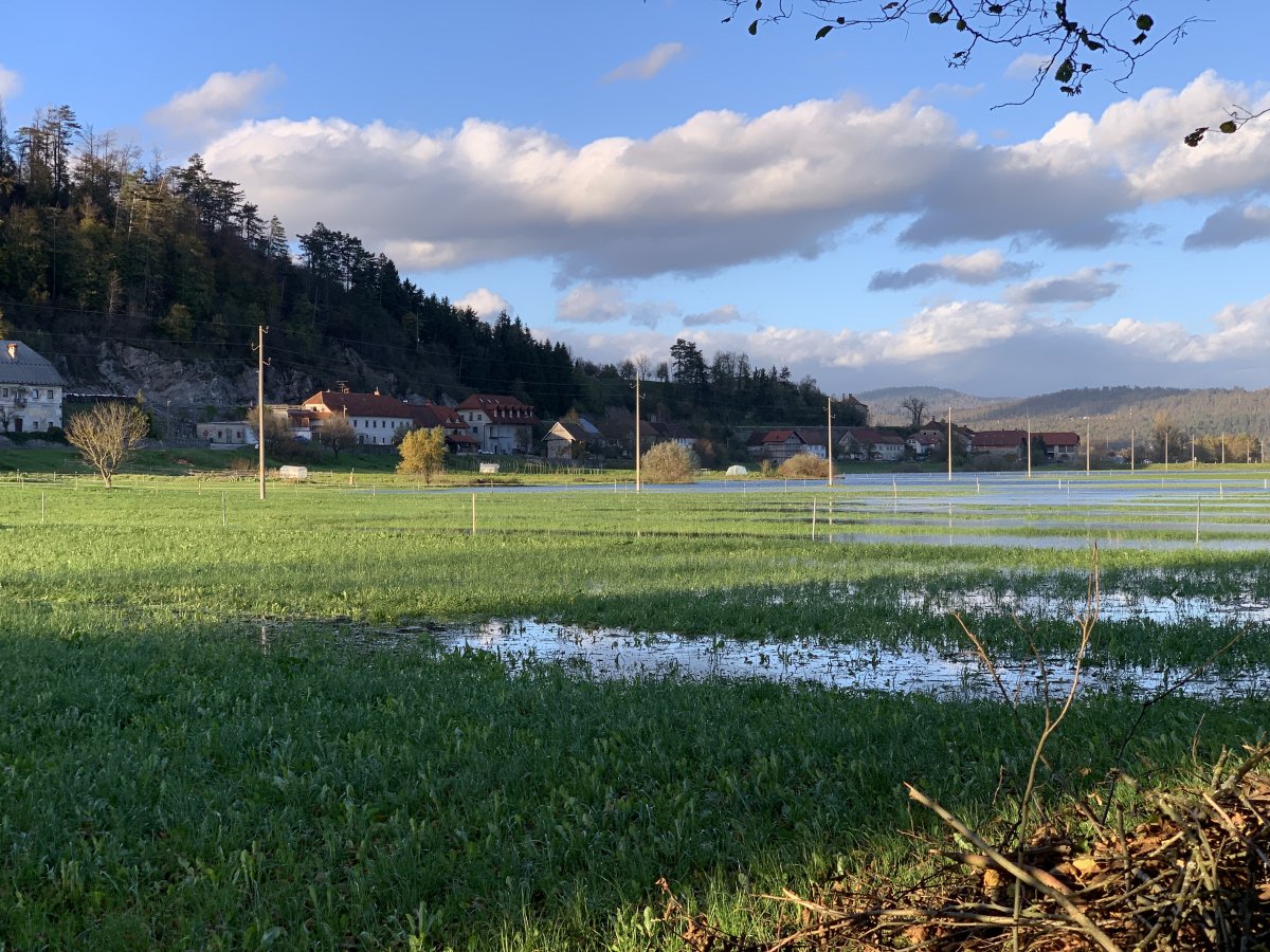 Hundreds of years of experience means the village of Planina is built on the lush shores of the lake.. Hundreds of years of experience means the village of Planina is built on the lush shores of the lake..