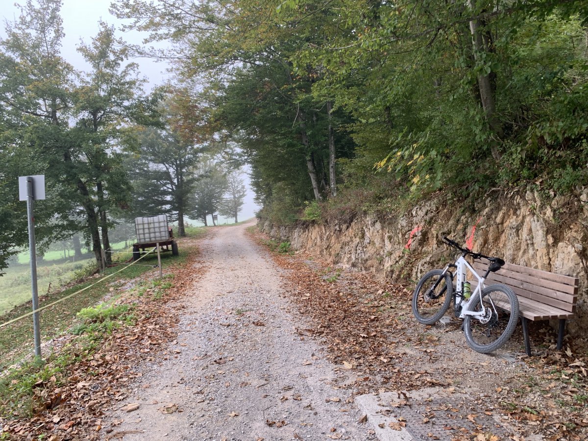 OCT PHOTO to show this fantastic bike track that takes you to the very end of the lake to village G.. OCT PHOTO to show this fantastic bike track that takes you to the very end of the lake to village G..