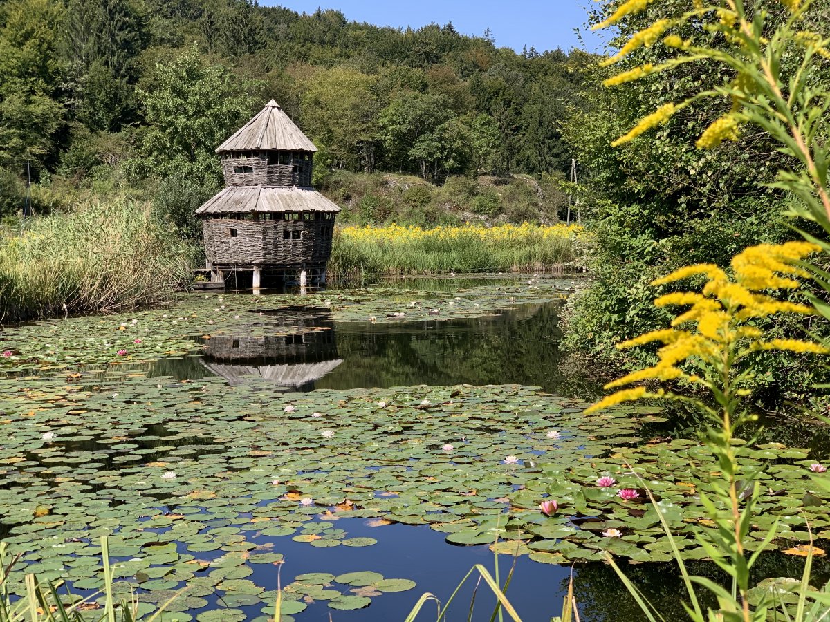 Phone in advance to visit this secret bird reserve and hike the magical Kingfisher trail.. Phone in advance to visit this secret bird reserve and hike the magical Kingfisher trail..