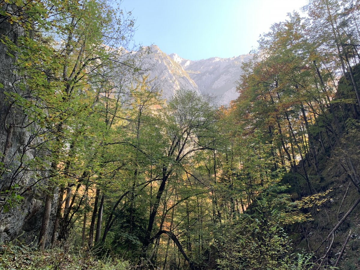 Stunning location for the Kamnik Secret Hospital.. Stunning location for the Kamnik Secret Hospital..