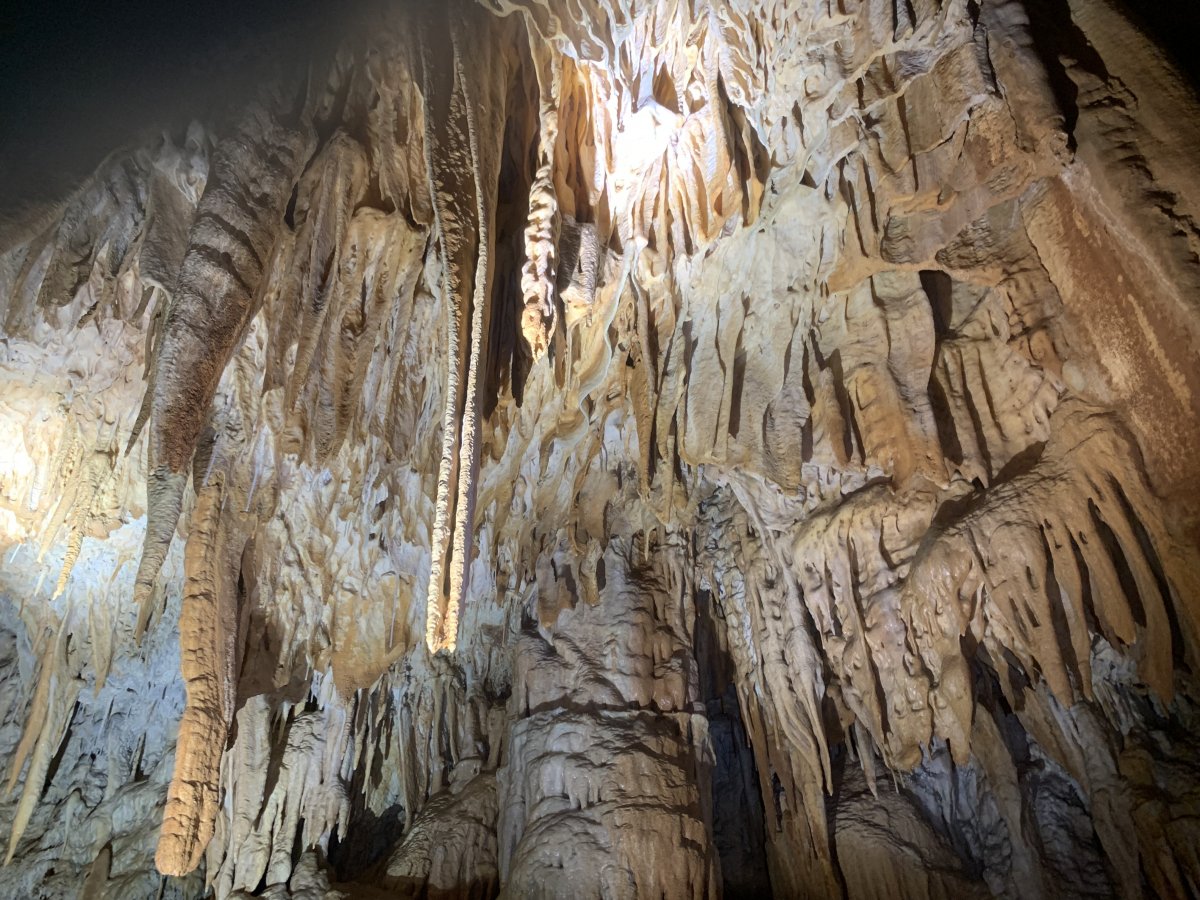 Karst underground forest..