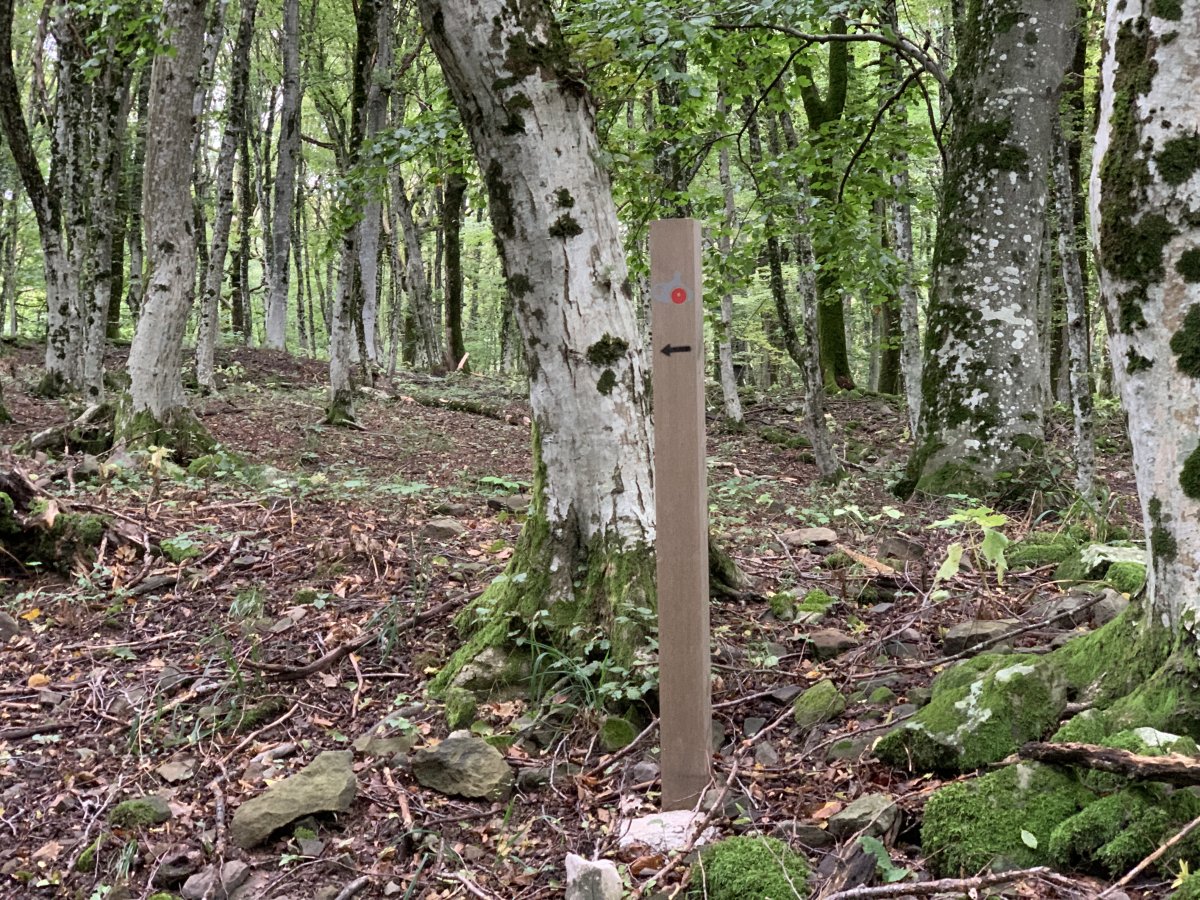 the Mitski Park Hike..