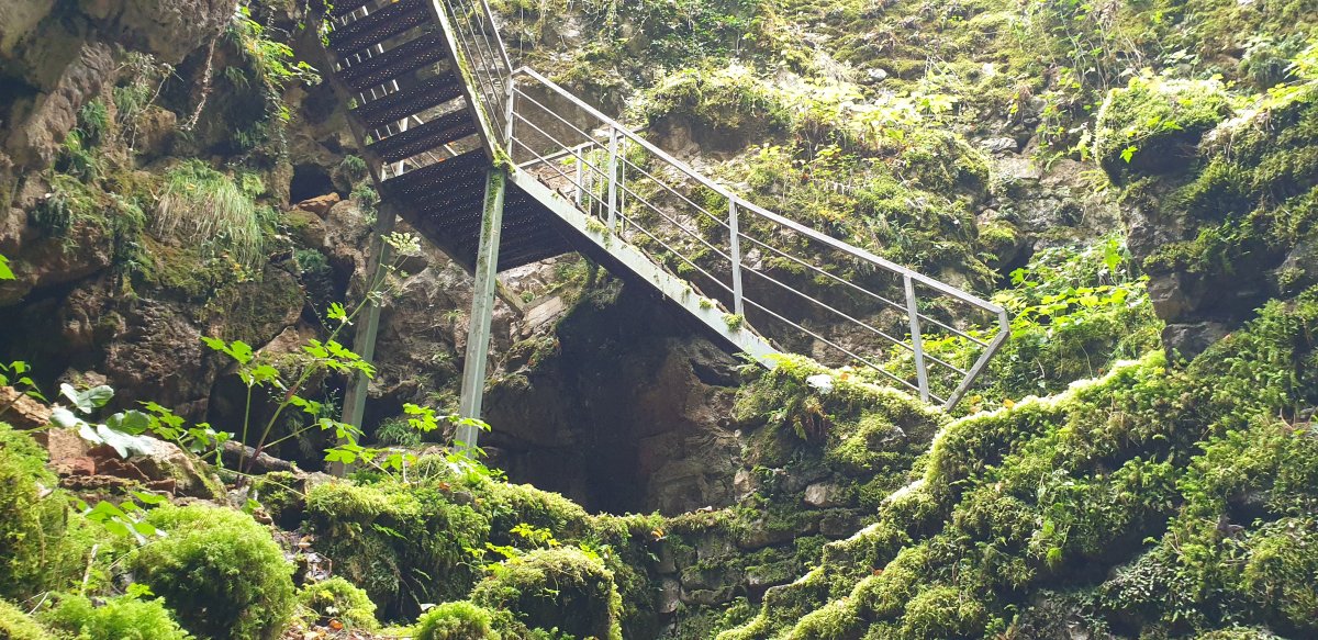 steps to the secret Divaca cave in the Red Karst.. steps to the secret Divaca cave in the Red Karst..