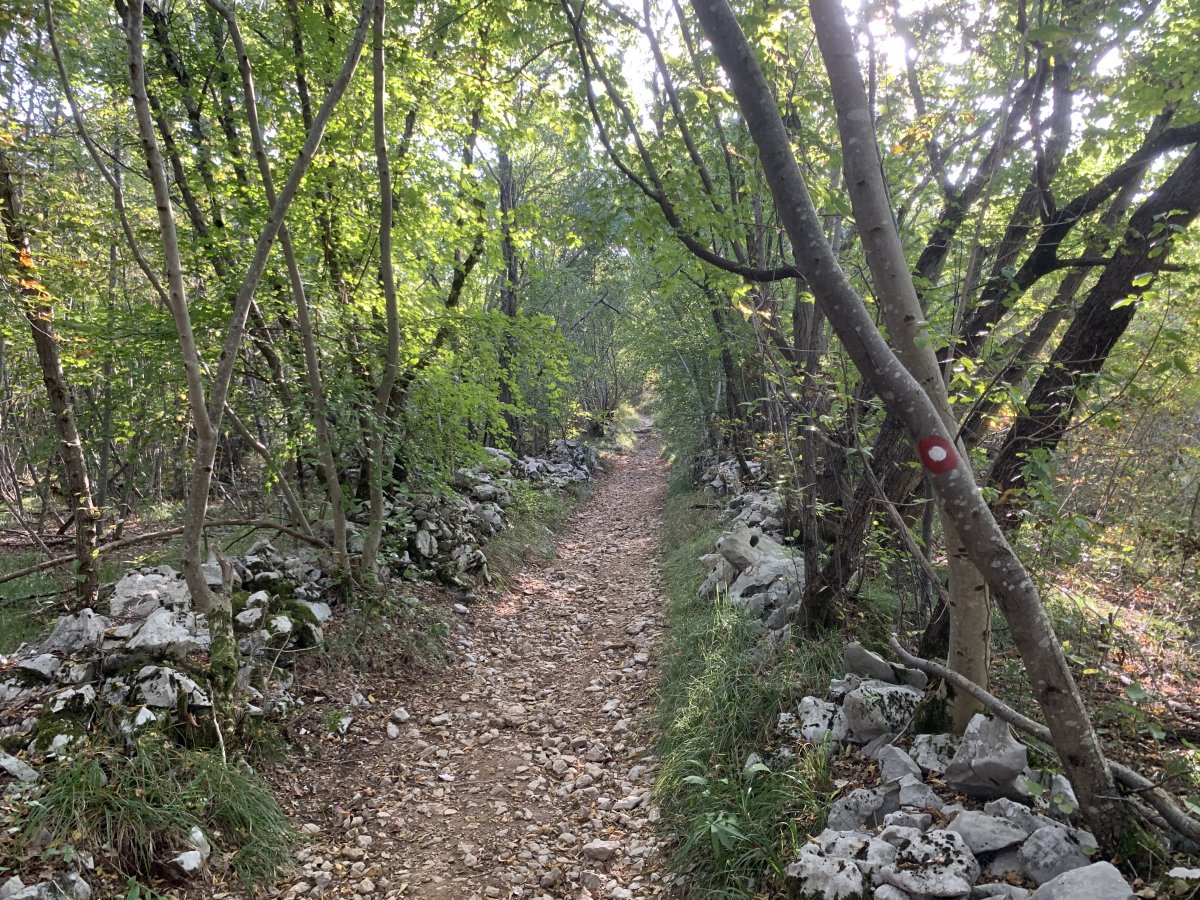 a typical hike in the Red Karst with red soil, white Karst rocks and thick forest.. a typical hike in the Red Karst with red soil, white Karst rocks and thick forest..