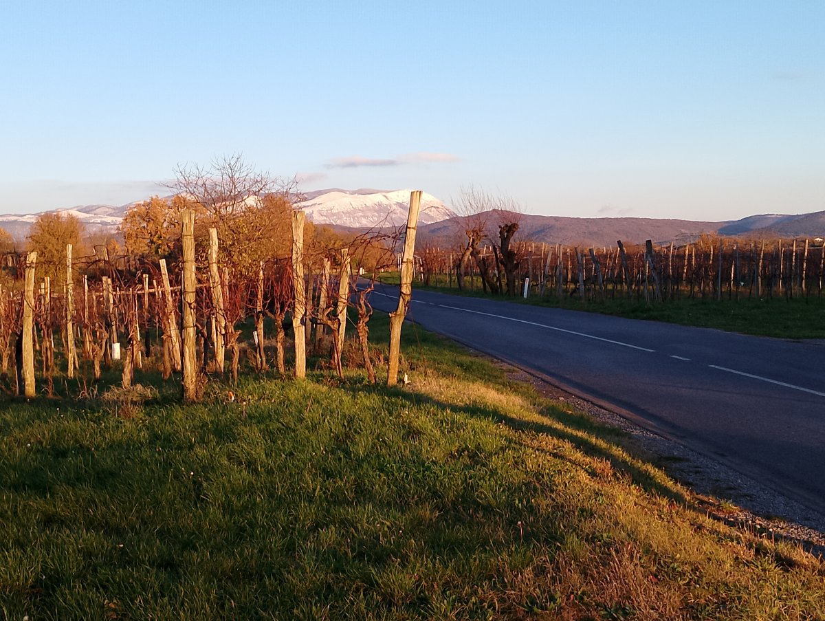 the Lodge is just over the other side of Nanos mountain, seen here covered in snow as a fab autumn vista from the vines of the Red Karst.. the Lodge is just over the other side of Nanos mountain, seen here covered in snow as a fab autumn vista from the vines of the Red Karst..