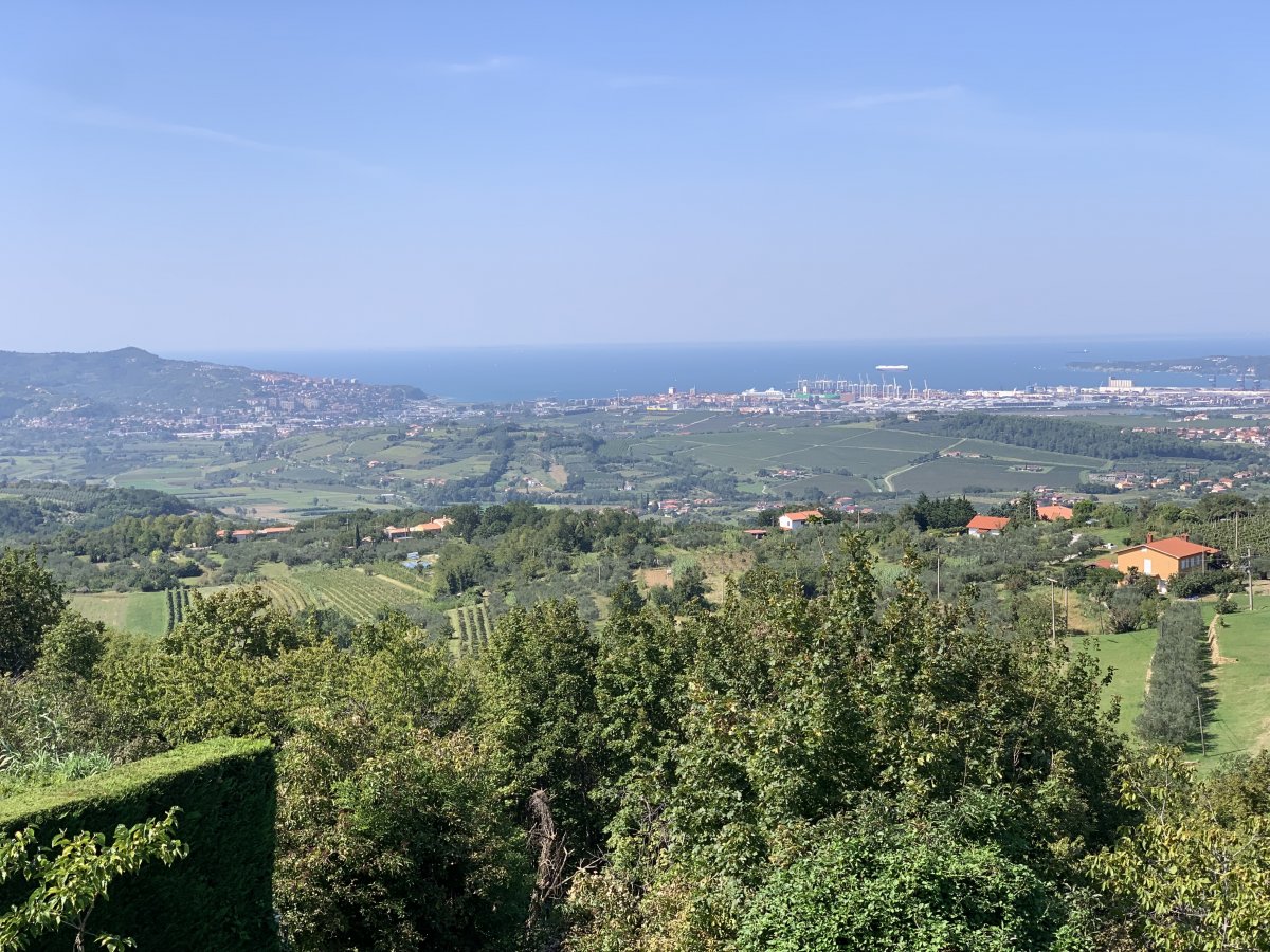 Vista over vineyards, the coastal hinterland and Koper port.. Vista over vineyards, the coastal hinterland and Koper port..